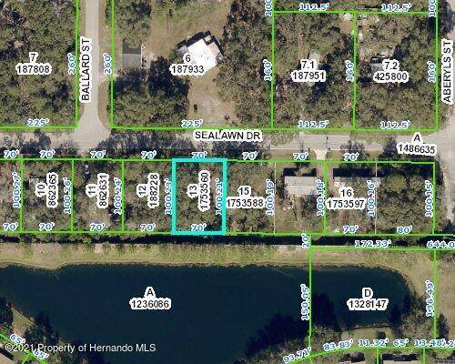 8140 Sealawn Drive, Spring Hill, FL 34606