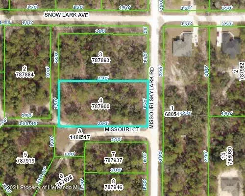 MISSOURI SKYLARK Road, Weeki Wachee, FL 34614