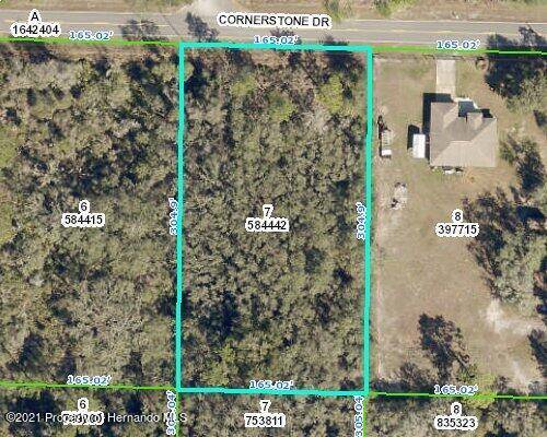 0 Cornerstone Drive, Webster, FL 33597