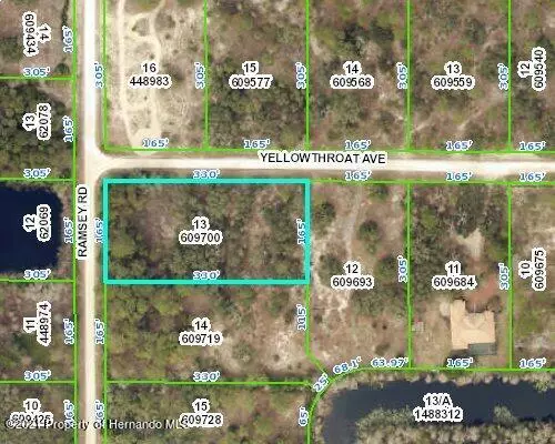 13 YELLOWTHROAT Avenue, Weeki Wachee, FL 34614