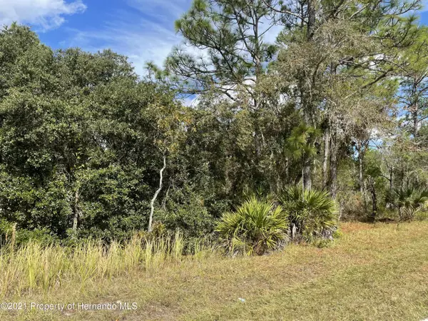 Nordica Road, Weeki Wachee, FL 34613