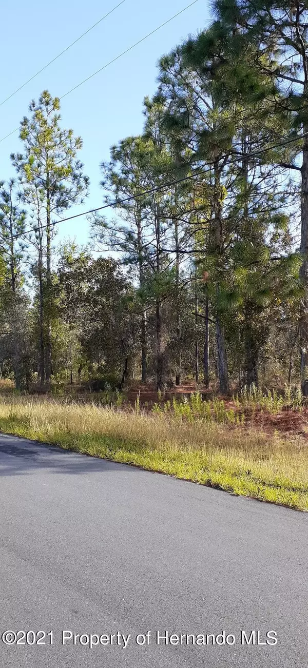 Weeki Wachee, FL 34614,Snowy Plover Avenue