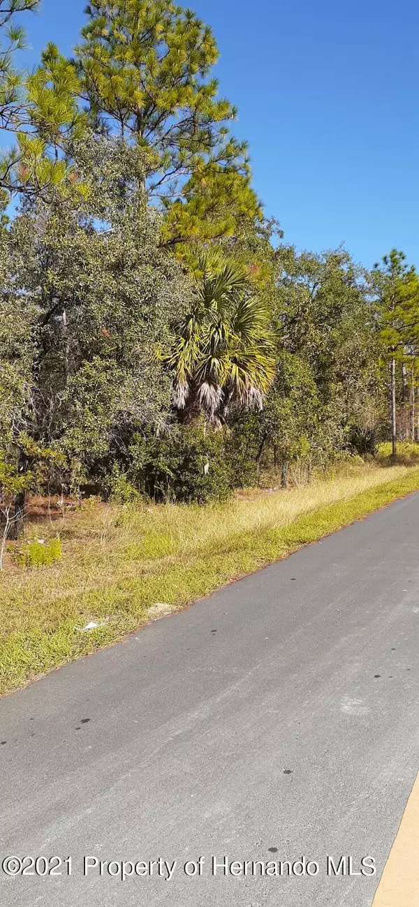 Weeki Wachee, FL 34614,Snowy Plover Avenue