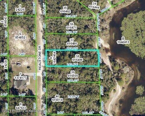 0 Real Stone Drive, Webster, FL 33597