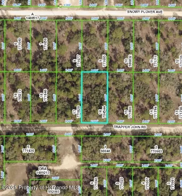 16 Trapper John Road, Weeki Wachee, FL 34614