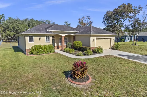 Weeki Wachee, FL 34613,11285 Frigate Bird Avenue