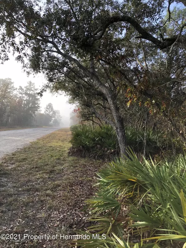 Weeki Wachee, FL 34614,0 RYDAL Road