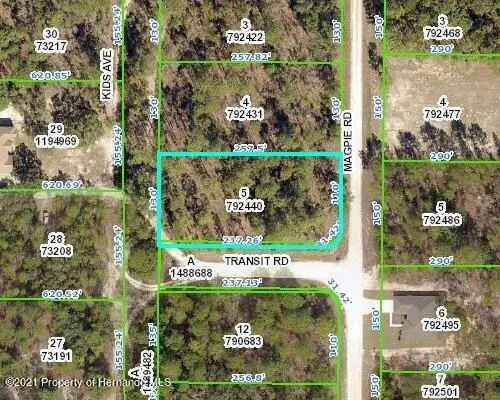 KIDS Avenue, Brooksville, FL 34614