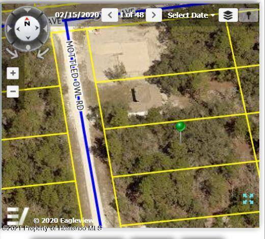 15446 MOTTLED OWL Road, Brooksville, FL 34614