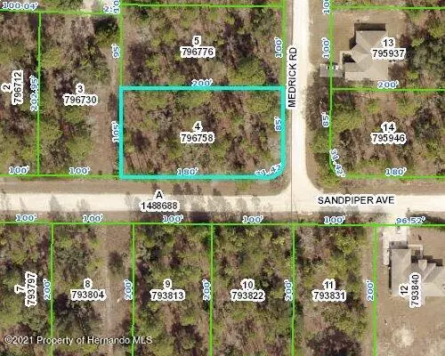 4 SANDPIPER Avenue, Weeki Wachee, FL 34614