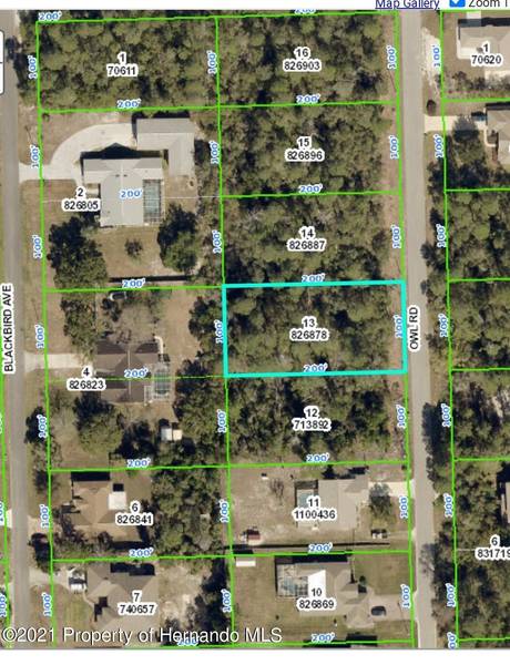 0 Owl Road, Weeki Wachee, FL 34613