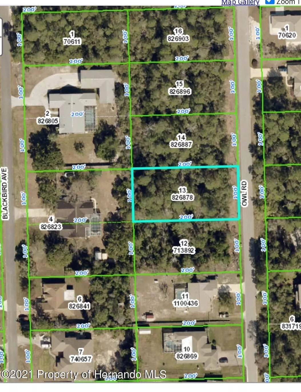 Weeki Wachee, FL 34613,0 Owl Road