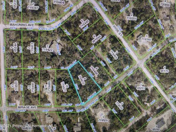 Mirage Avenue, Brooksville, FL 34614