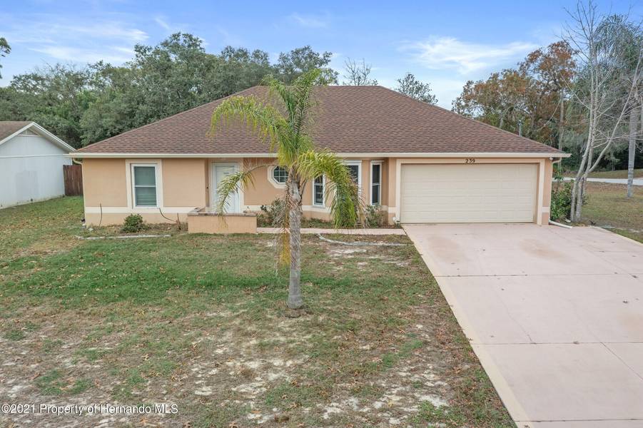 239 Tulsa Avenue, Spring Hill, FL 34606