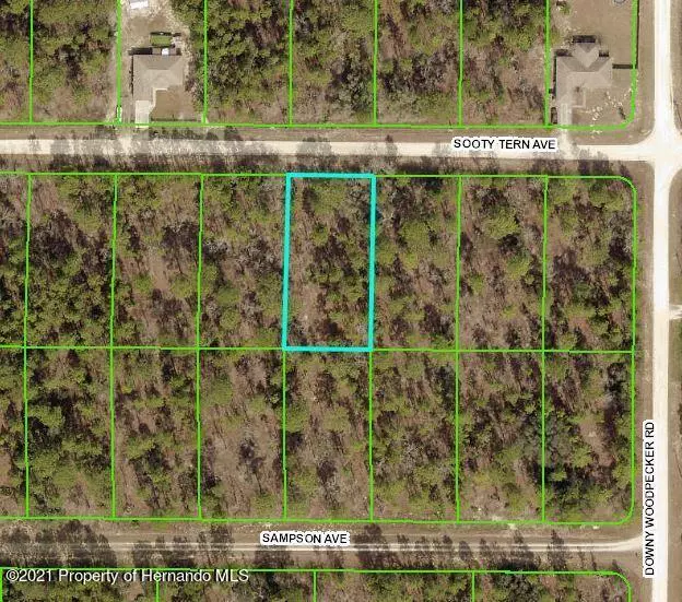 Brooksville, FL 34614,Sooty Tern Ave Lot 6