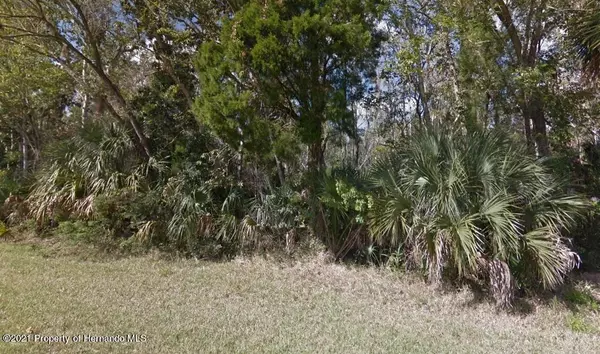 State Park Street, Crystal River, FL 34428