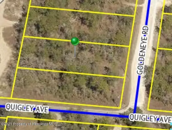 9 Goldeneye Road, Weeki Wachee, FL 34614