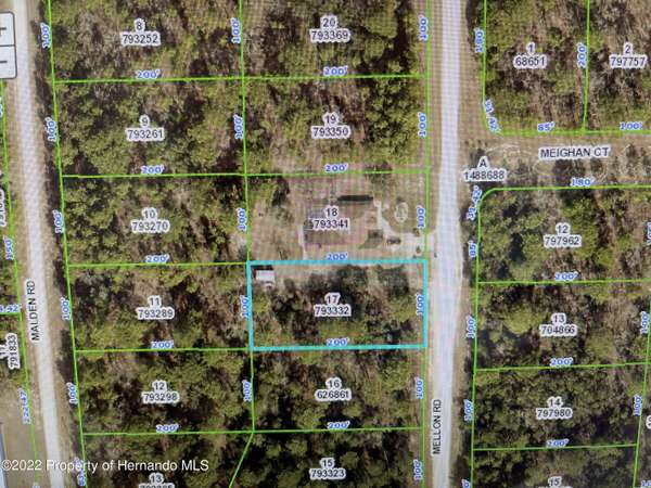 Mellon Road, Brooksville, FL 34614