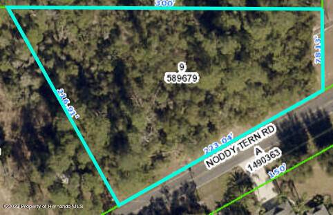 9343 Noddy Tern Road, Weeki Wachee, FL 34613