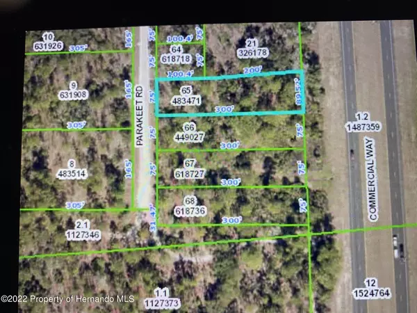 Parakeet Road, Weeki Wachee, FL 34614