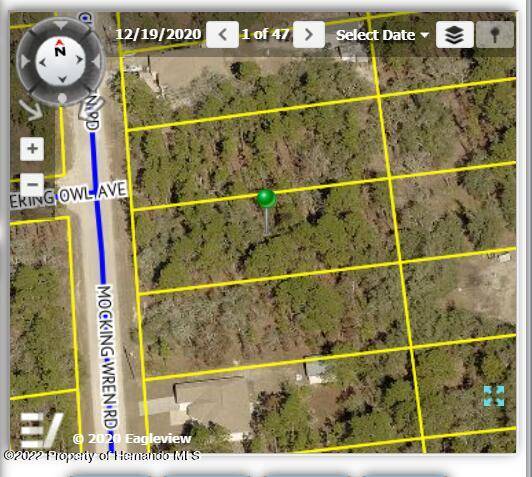 14616 MOCKING WREN Road, Brooksville, FL 34614