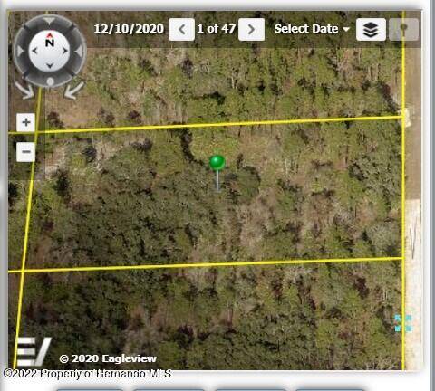 18203 PARAKEET Road, Brooksville, FL 34614