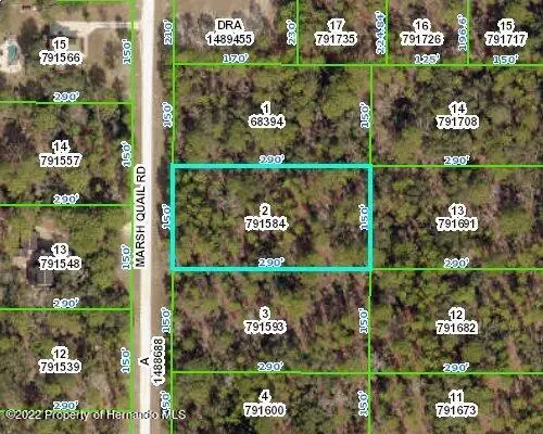 0 Marsh Quail Road, Weeki Wachee, FL 34614