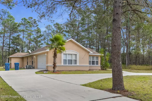 Weeki Wachee, FL 34614,11418 Labrador Duck Road