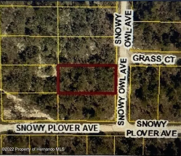 15 Snowy Owl Avenue, Weeki Wachee, FL 34614