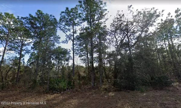 Weeki Wachee, FL 34614,Mackinaw Rd Lot 20