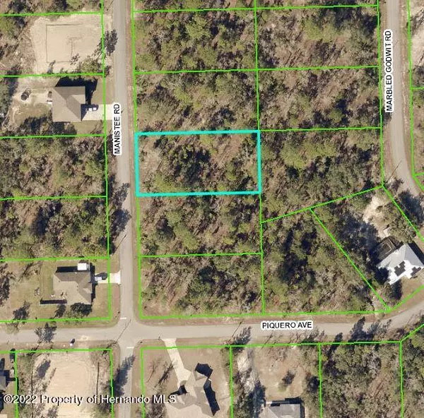 Manistee Rd Lot 6, Weeki Wachee, FL 34614