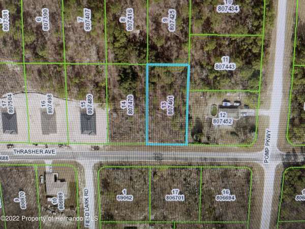 Thrasher Road, Brooksville, FL 34614