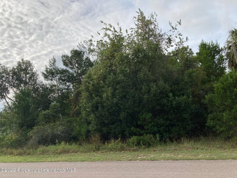 Ainsworth, Spring Hill, FL 34609