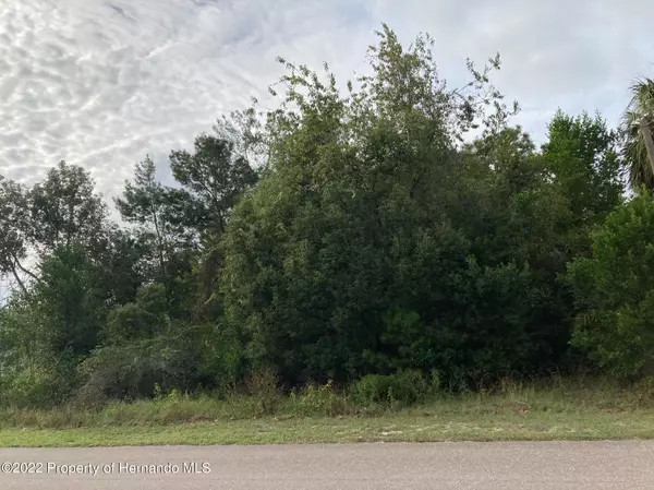 Ainsworth, Spring Hill, FL 34609