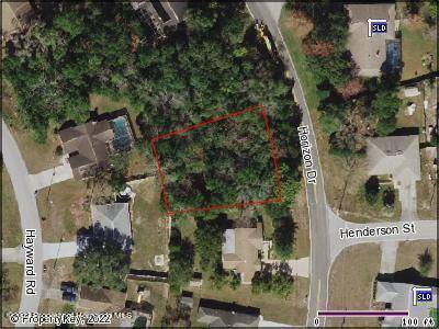 10227 Horizon Drive, Spring Hill, FL 34608