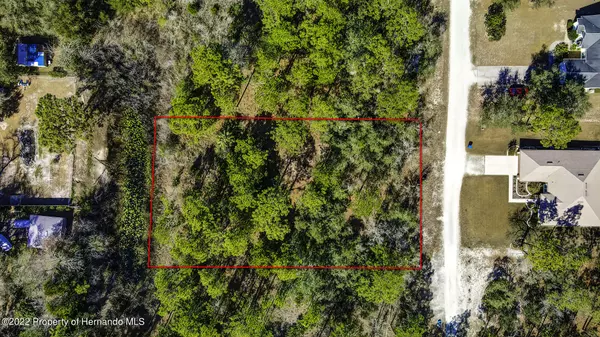 9155 Bunting Road, Weeki Wachee, FL 34613