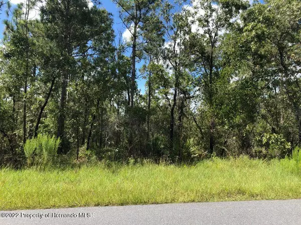 Weeki Wachee, FL 34614,5 WOOD OWL Avenue