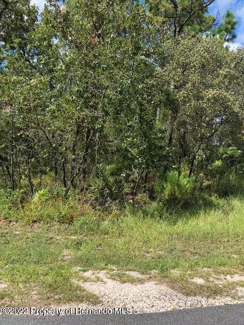 Weeki Wachee, FL 34614,5 WOOD OWL Avenue