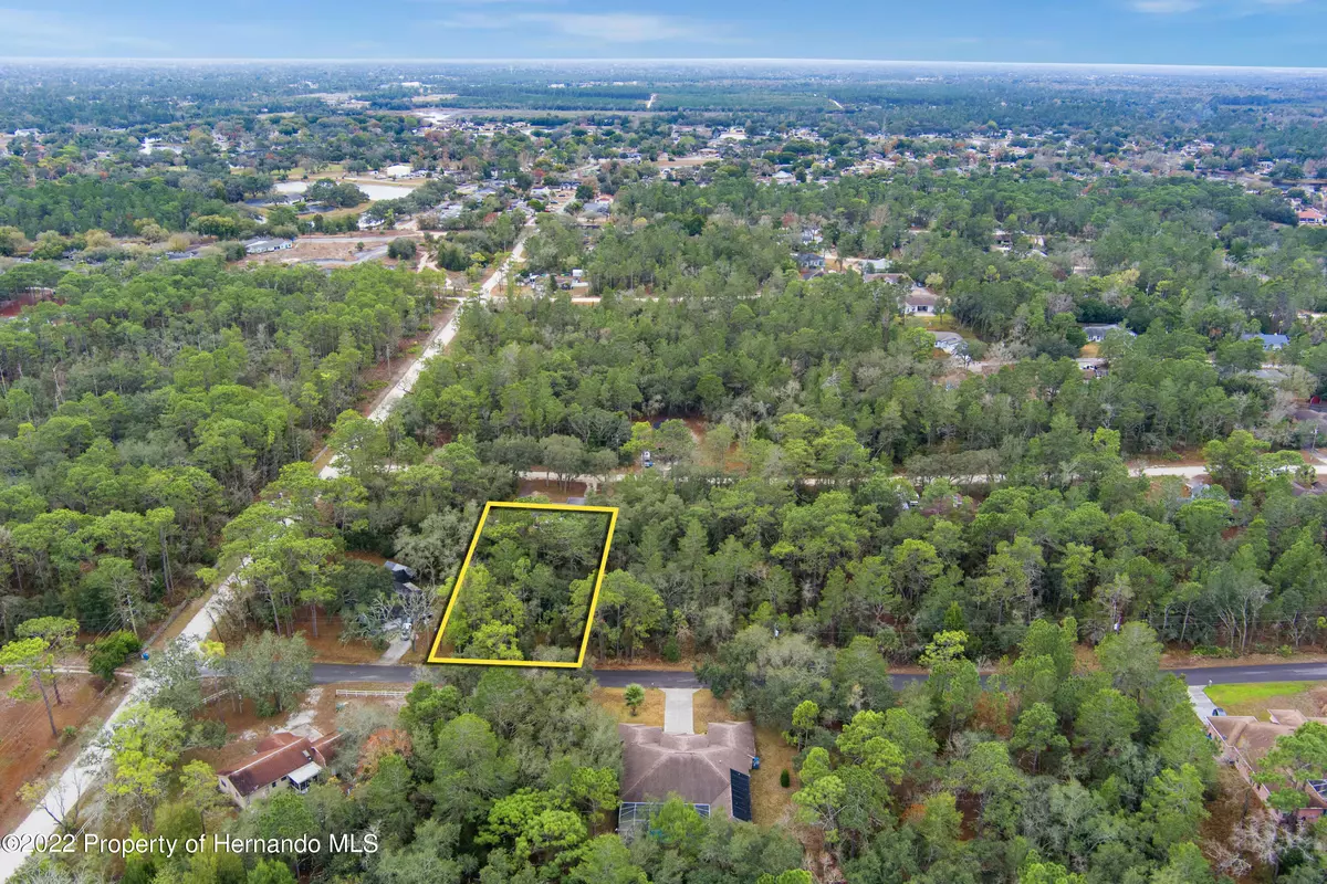 Weeki Wachee, FL 34613,0 Helene Way