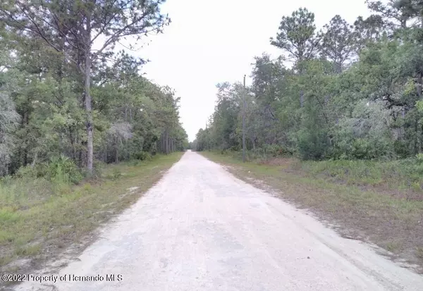 Brooksville, FL 34614,Macek Road