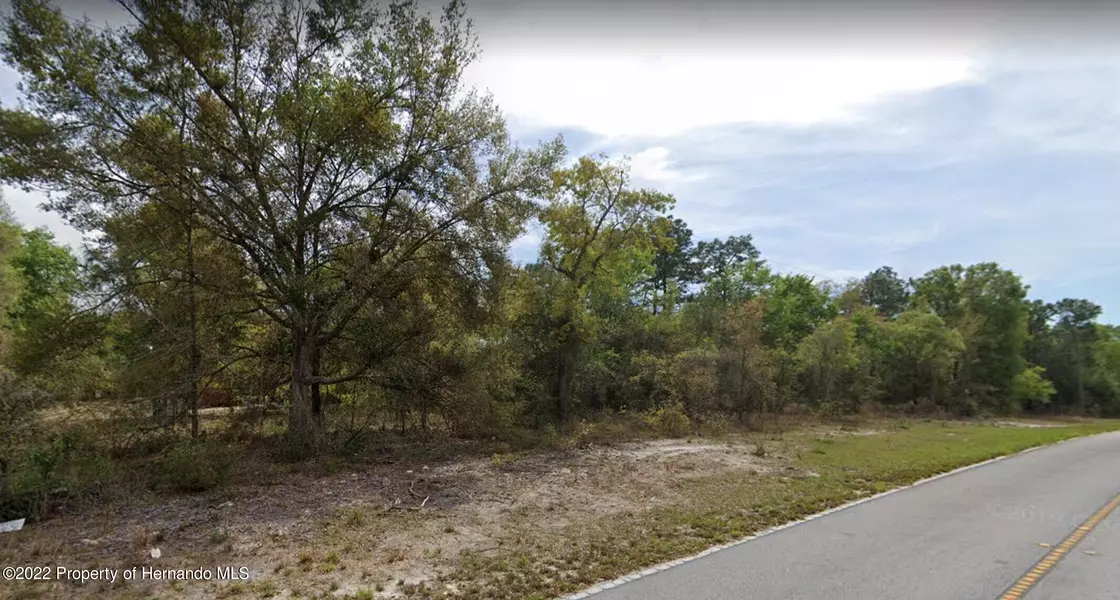 Langworthy Drive, Brooksville, FL 34613