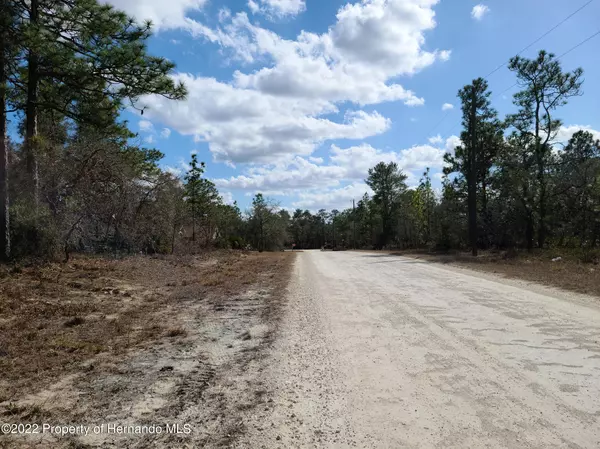 Weeki Wachee, FL 34614,0 Meadow Plover Road