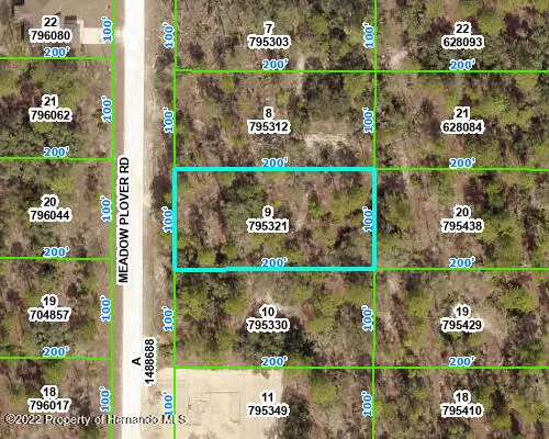 Weeki Wachee, FL 34614,0 Meadow Plover Road