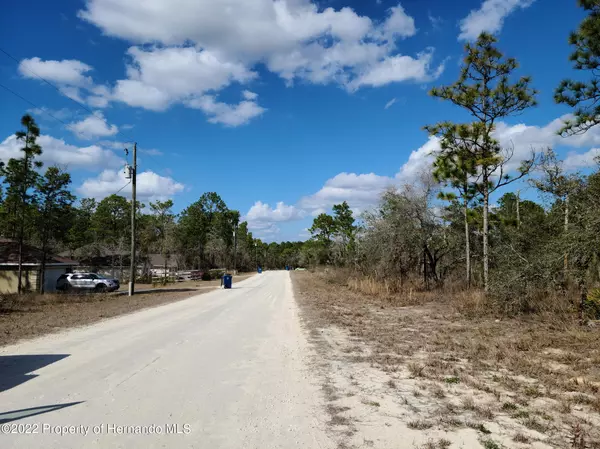 Weeki Wachee, FL 34614,0 Meadow Plover Road