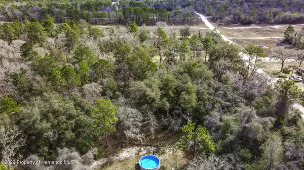 Weeki Wachee, FL 34614,Downy Woodpecker Road