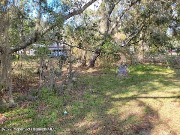 0 Susan (lot 22) Drive, Spring Hill, FL 34606