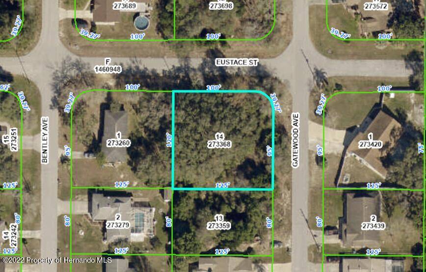 Gatewood Avenue, Spring Hill, FL 34608