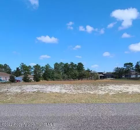 Weeki Wachee, FL 34613,11159 Warm Wind Way Lot 69