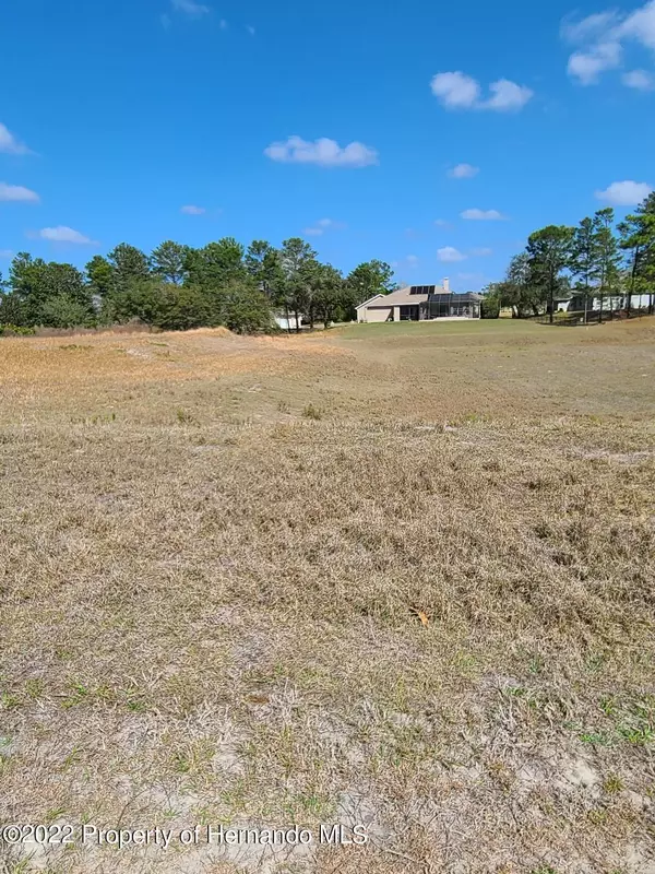 Weeki Wachee, FL 34613,11159 Warm Wind Way Lot 69