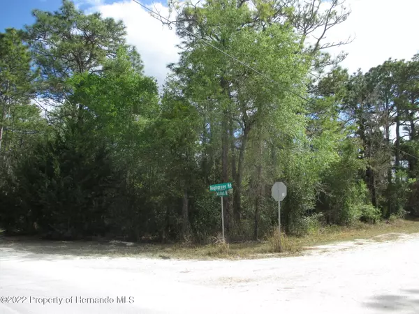 Spring Hill, FL 34609,Highgrove Road